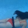 INDICA IN WILLFUL ACTION - Image 2