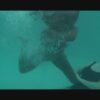 MISTY AUTREY IN TDO - Image 4