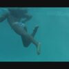MISTY AUTREY IN TDO - Image 2