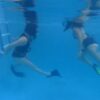 INDICA AND SUSHI IN BOTSB SNORKELLER EDITION - Image 3