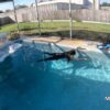 DIAMOND CANT SWIM - Image 12