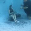 SUGAR OAKS IN GAME SHOW PREP (FULL VERSION) - Image 8