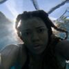 DIAMOND CANT SWIM - Image 8