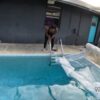 DIAMOND CANT SWIM - Image 6