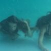 SCARLETT AND MAE IN SCARE TACTIC (FULL VERSION) - Image 3