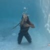 DIAMOND CANT SWIM - Image 3