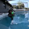 DIAMOND IN THE CHALLENGE 3 - Image 4