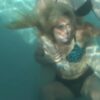 BLACK WIDOW: JAC - Image 5