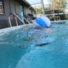SASSY DRUMM in DEFLATED - Image 7