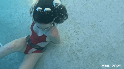 NEJIRETA OCHOA in WITNESS PROTECTION - Image 4