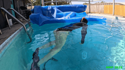 JILLIAN in TRYING TO GET A FIN IN THE DOOR - Image 9