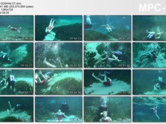 GHOST DIVER SHALOT