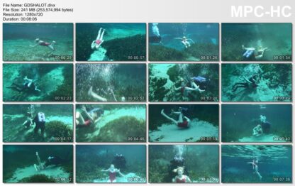 GHOST DIVER SHALOT