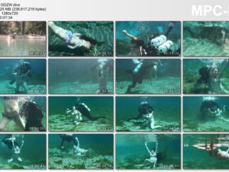 GHOST DIVER ZEFFY WOODS