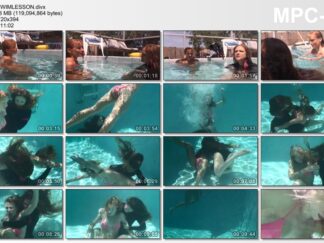 THE SWIM LESSON