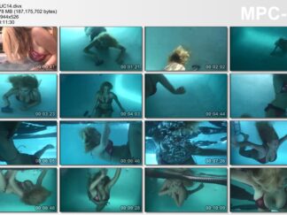 UNDERCOVER 14