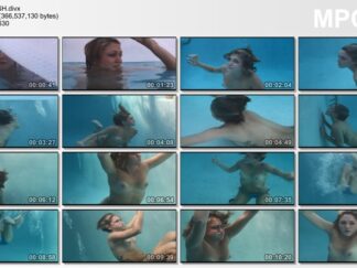 UNDERCOVER ELIZABETH ASHLEY