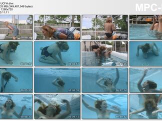 UNDERCOVER THE FAMILY HEIRLOOM