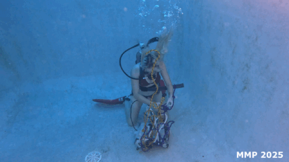 ARIANNA in THE BOT STRIKES BACK - Image 6
