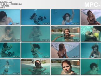 INEVITABLE 5PK VOLUME FOUR