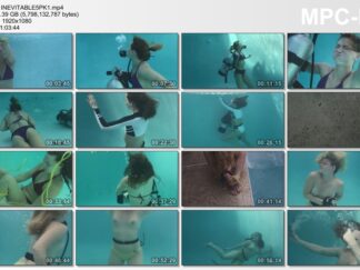 INEVITABLE 5PK VOLUME ONE